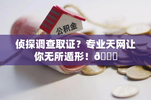 章贡侦探调查取证？专业天网让你无所遁形！😎
