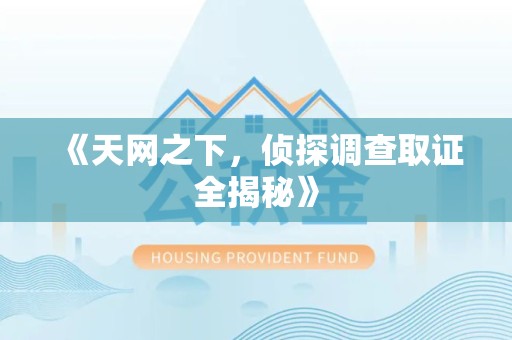 章贡《天网之下，侦探调查取证全揭秘》