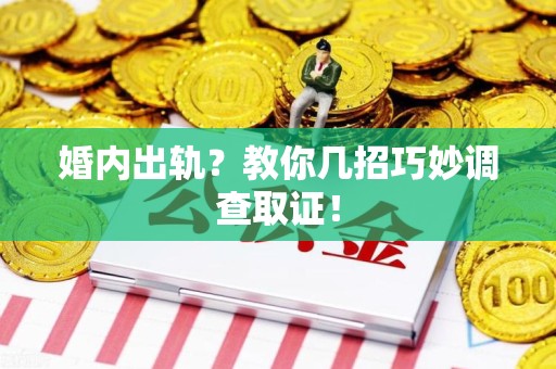 章贡婚内出轨？教你几招巧妙调查取证！
