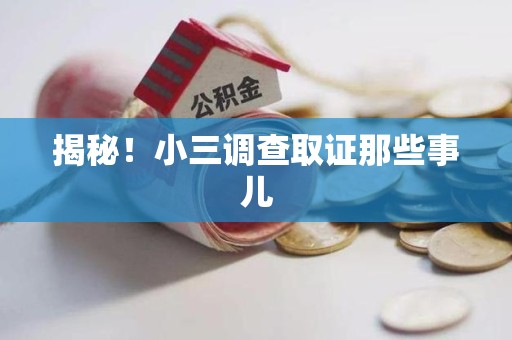 章贡揭秘！小三调查取证那些事儿